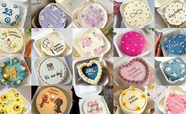 Every Type of Bento Cake Design You Need to Know in 2026