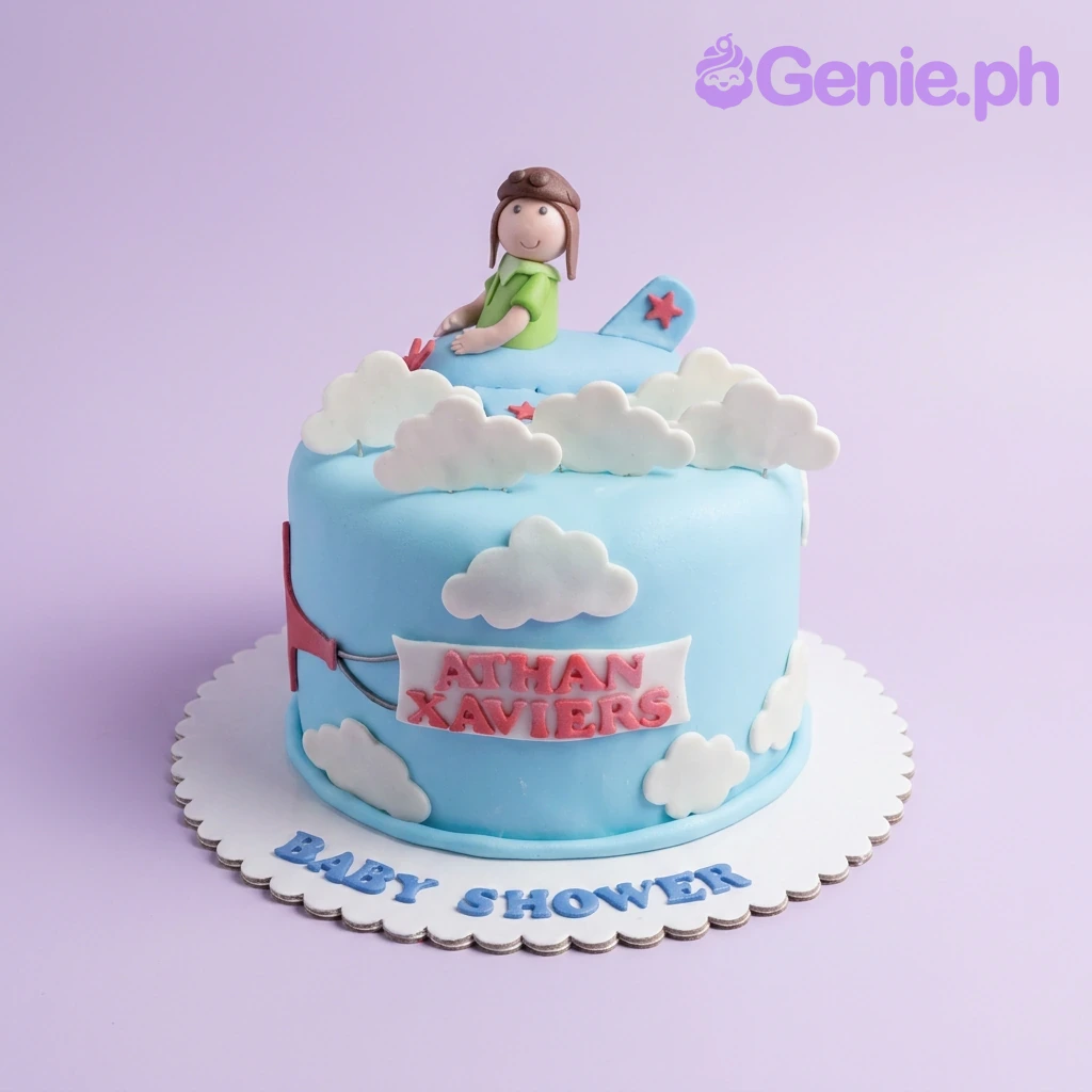 Airplane Baby Shower Noahs Ark Cake Design
