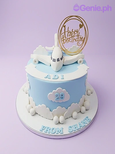 Airplane Birthday Cake