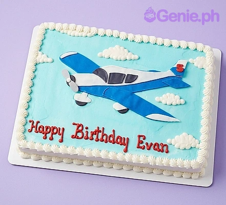 Airplane Cake