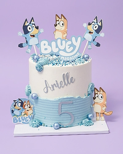 Bluey Cake