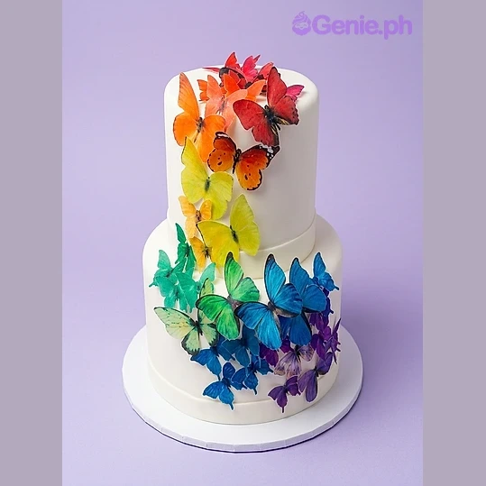 Butterfly Rainbow Cake