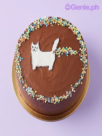 Cat Brown Cake Chocolate frosted round cake with a white cat drawing on top and colorful sprinkles around the edge
