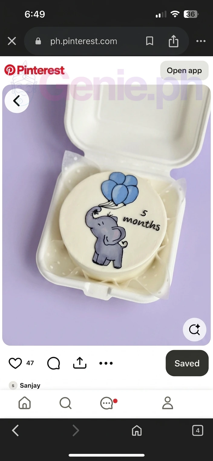 Elephant Bento Balloons Set Cake Design