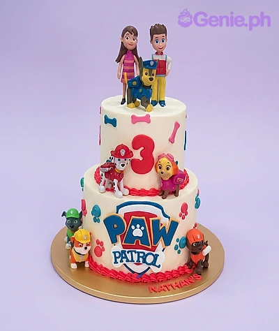 Paw Patrol Cake