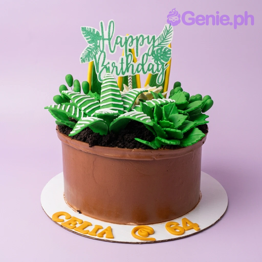 Succulent Flower Pot Power Rangers Cake Design Succulent Flower Pot Power Rangers Cake Design
