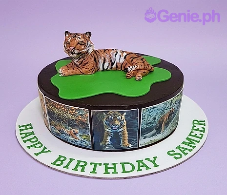 Tiger Birthday Birthday Cakes Cake Design