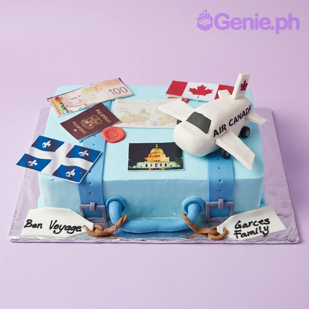 Travel Suitcase Cake Travel Suitcase Cake
