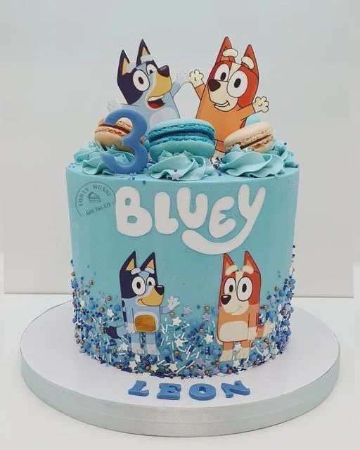 Bluey Bingo Cake Design