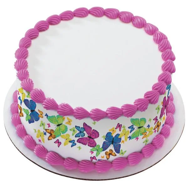 Butterfly White Cake A white round 1-tier cake with pink shell borders and colorful butterfly printouts on the sides.