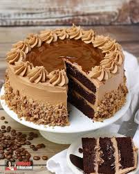 Chocolate Coffee Cake