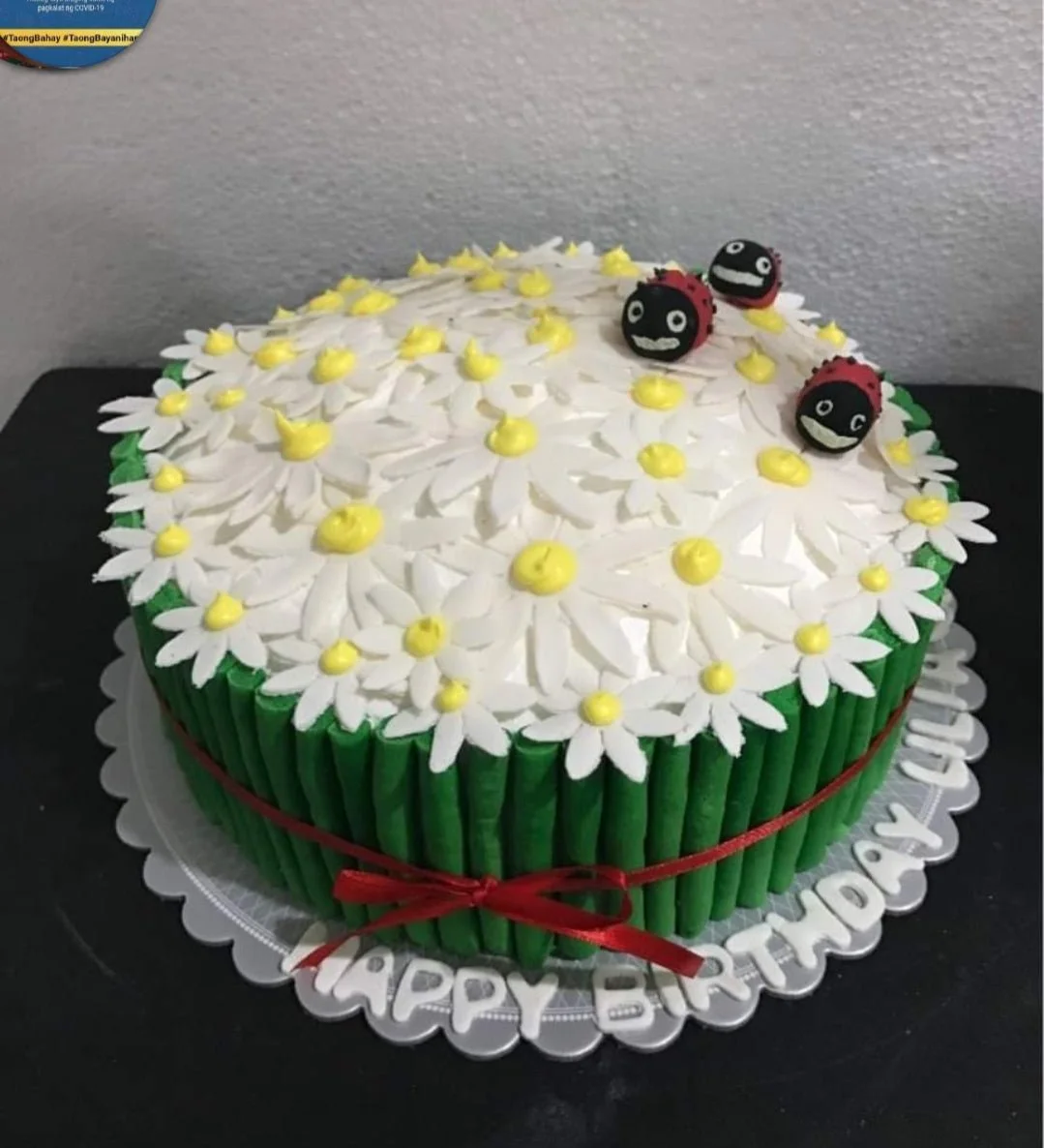 Daisy Ladybug Lady Bug Cake Design