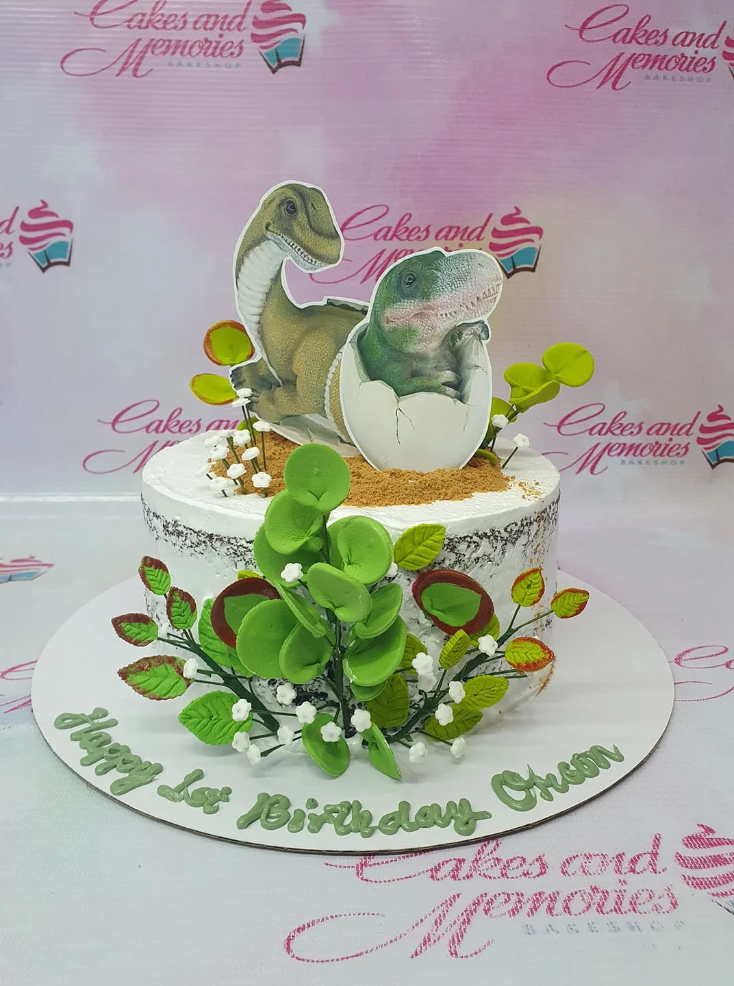A white, green, brown 1-tier Dinosaur cake, with T-Rex and hatching dinosaur printouts, leaves, and sugar sand.