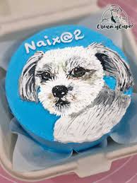 dog portrait, blue Bento - colorful theme with detailed dog portrait dog portrait, blue Bento - colorful theme with detailed dog portrait