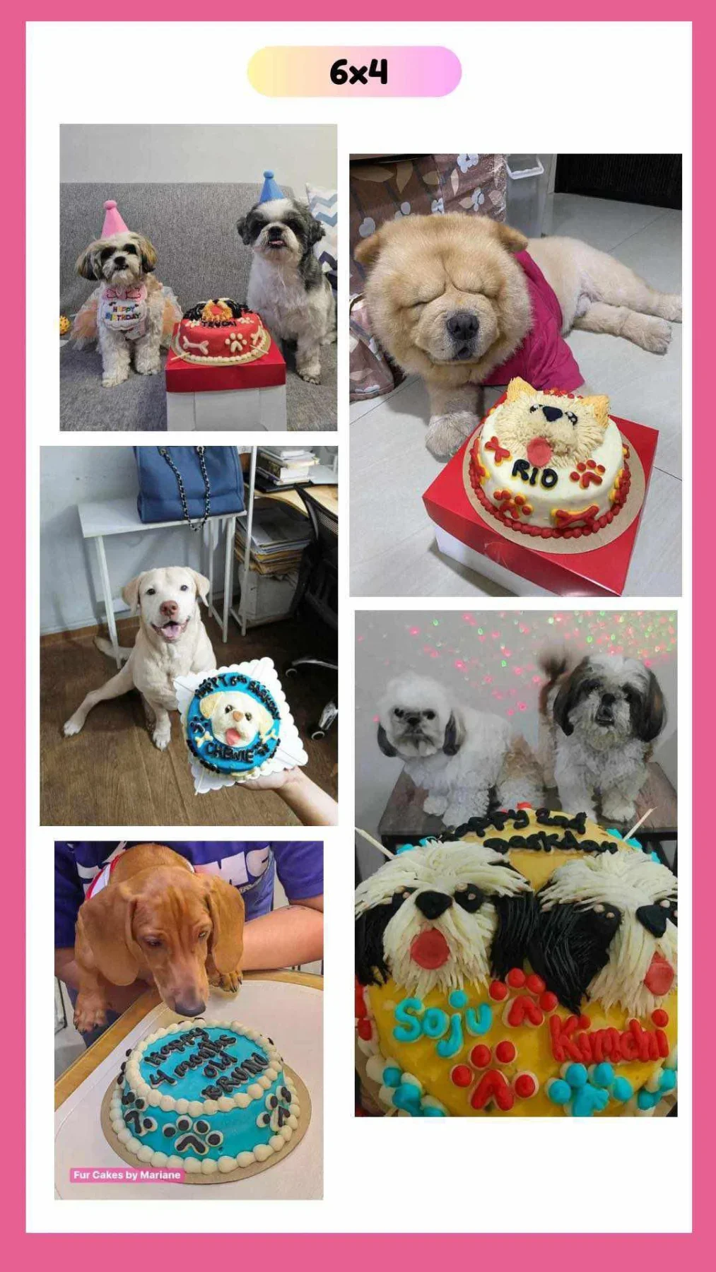 Dog Red Custom Cake Cebu Cake Design