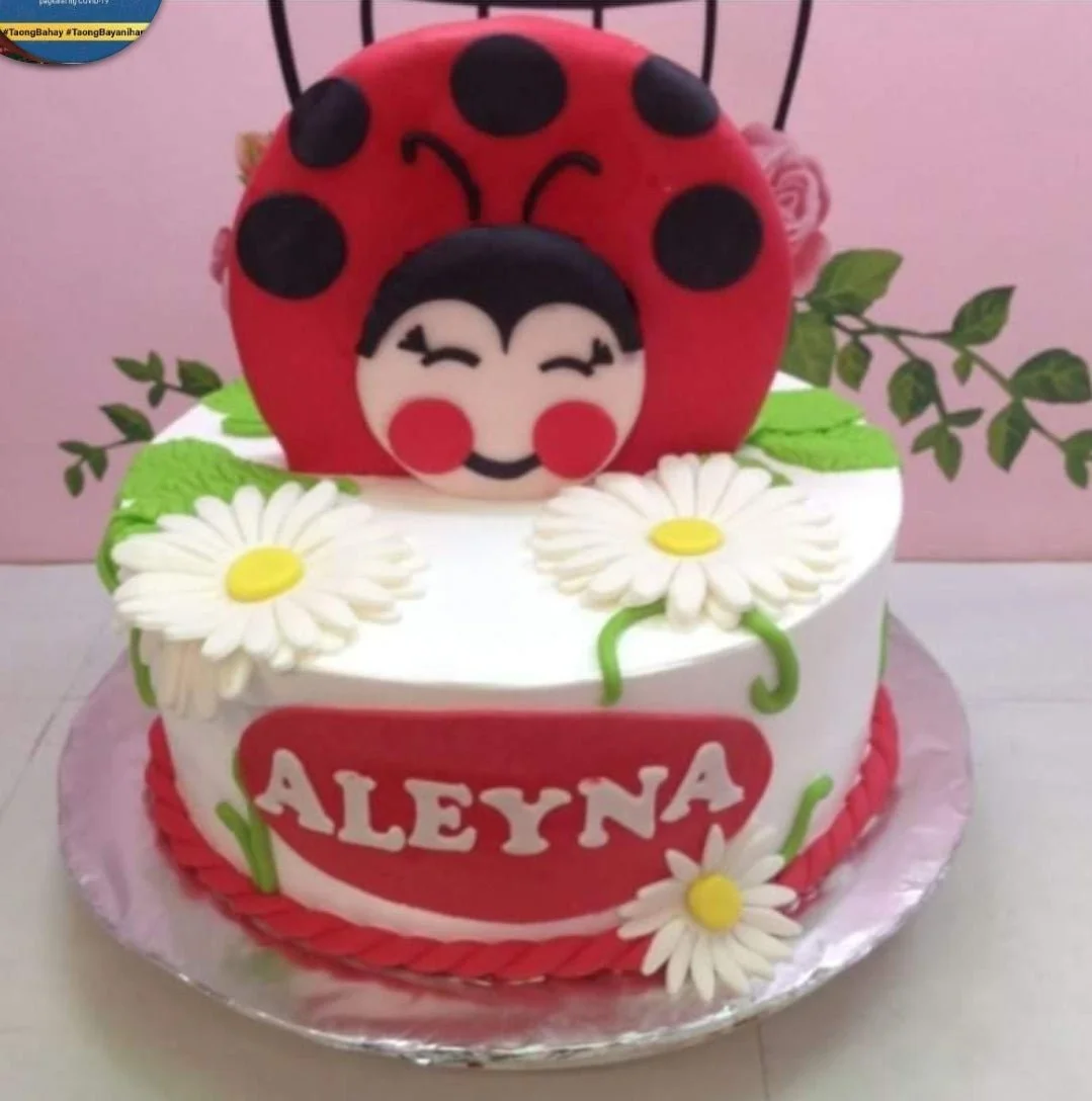 Ladybug Cake