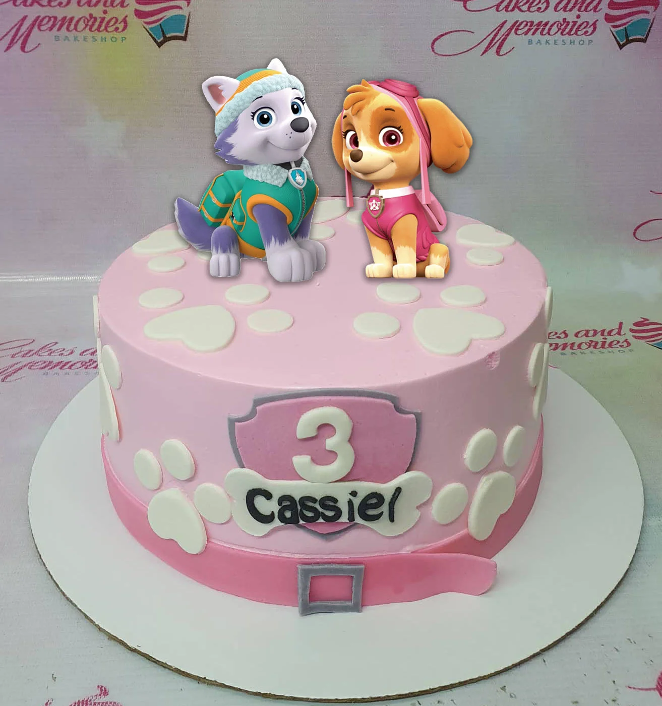 Paw Patrol Sky Diving Cake Design