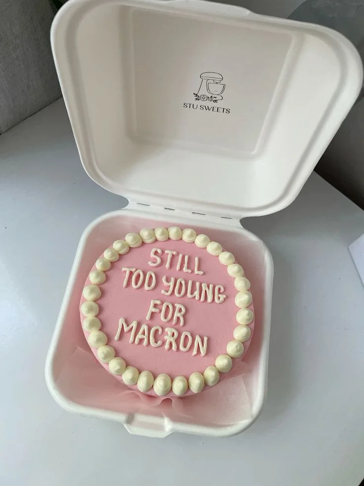 Pink bento cake with white piped borders and a humorous message 'STILL TOO YOUNG FOR MACRON' in white icing. Pink bento cake with white piped borders and a humorous message 'STILL TOO YOUNG FOR MACRON' in white icing.