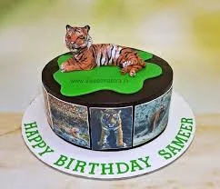 Tiger Birthday Cake