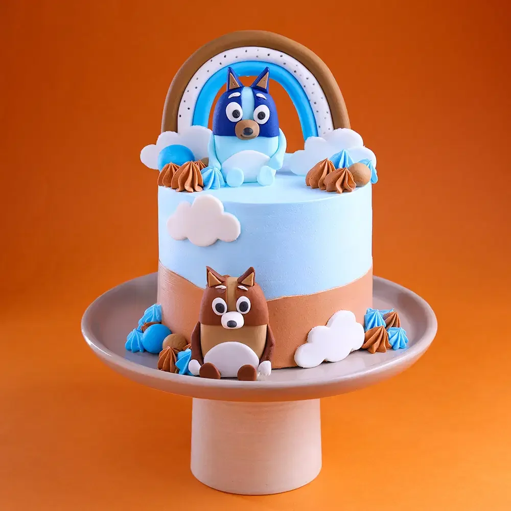 Bluey Money Cake Design