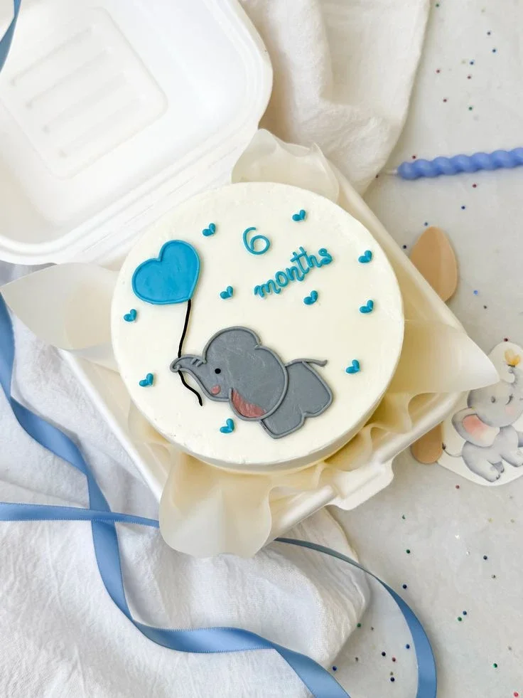 Elephant Bento White Heart Cake White bento cake with a grey elephant fondant topper, a blue heart balloon, and 6 months piped in blue icing