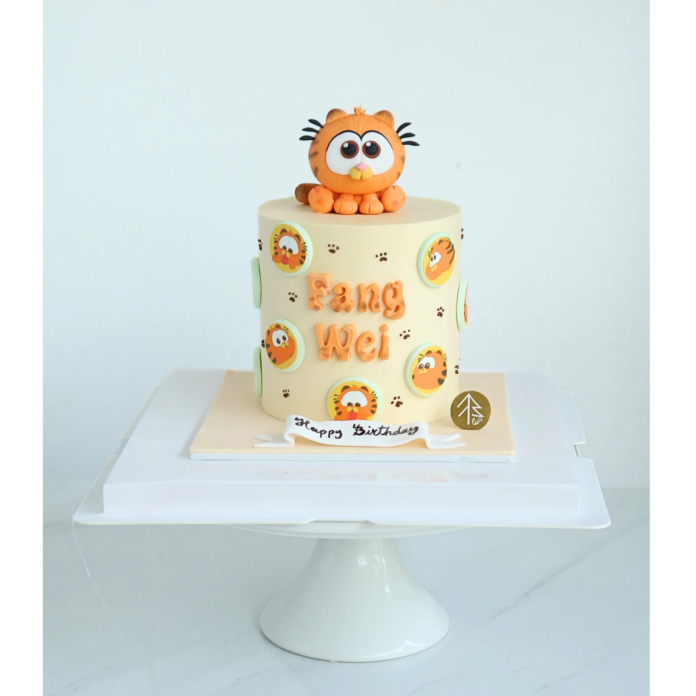 Garfield Birthday Cake