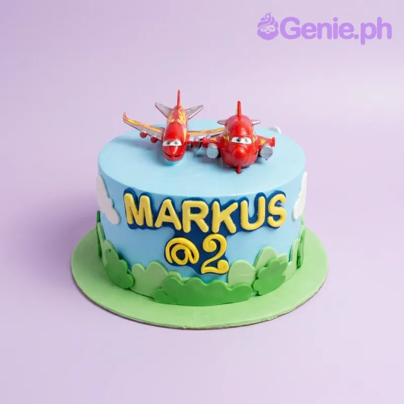 Airplane Cake