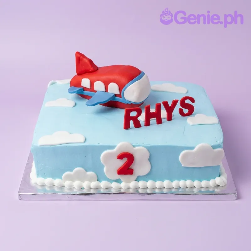 Airplane Cake