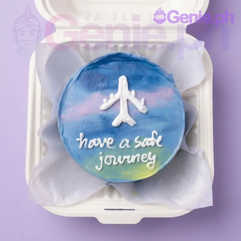 Airplane Travel Farewell Cake Design