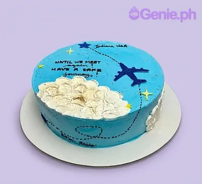 Airplane Travel Cake Design