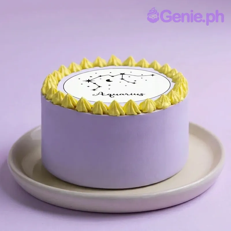 Aquarius Zodiac Bento Cake Design