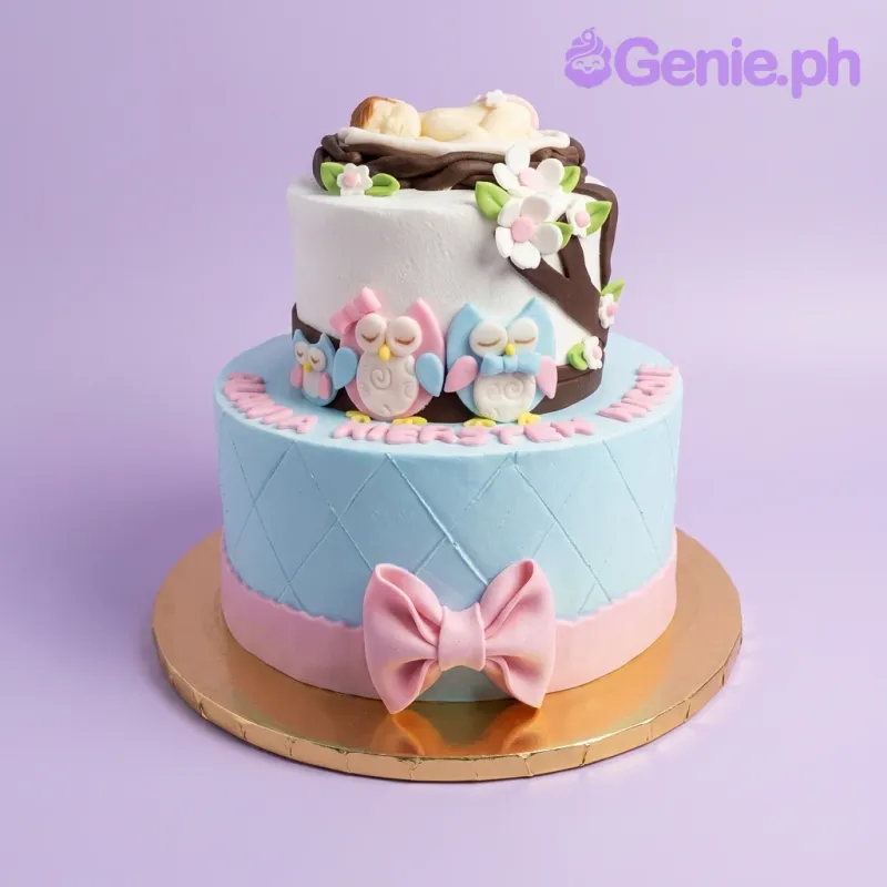 Baby Shower Owl Birds Cake Design