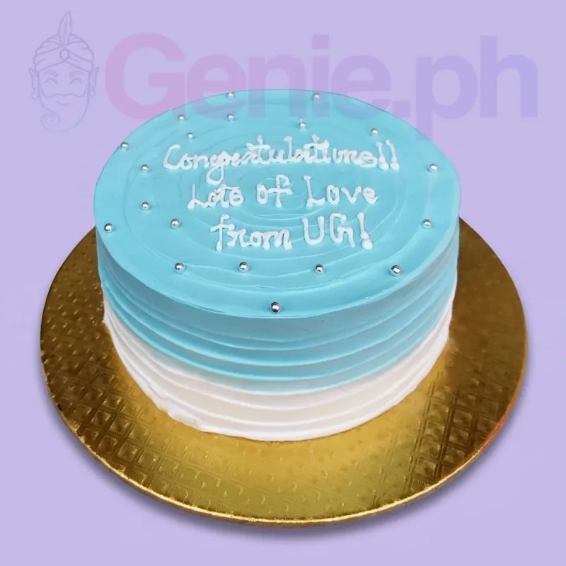 Blue Minimalist Cake