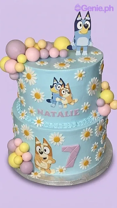 Bluey Cake