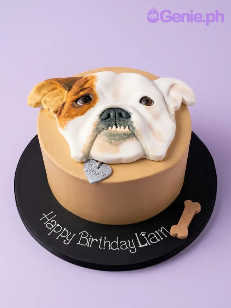A tan and black 1 Tier Fondant cake, Bulldog Pet themed, featuring a large sculpted bulldog face, silver heart tag, and bone accent. A tan and black 1 Tier Fondant cake, Bulldog Pet themed, featuring a large sculpted bulldog face, silver heart tag, and bone accent.