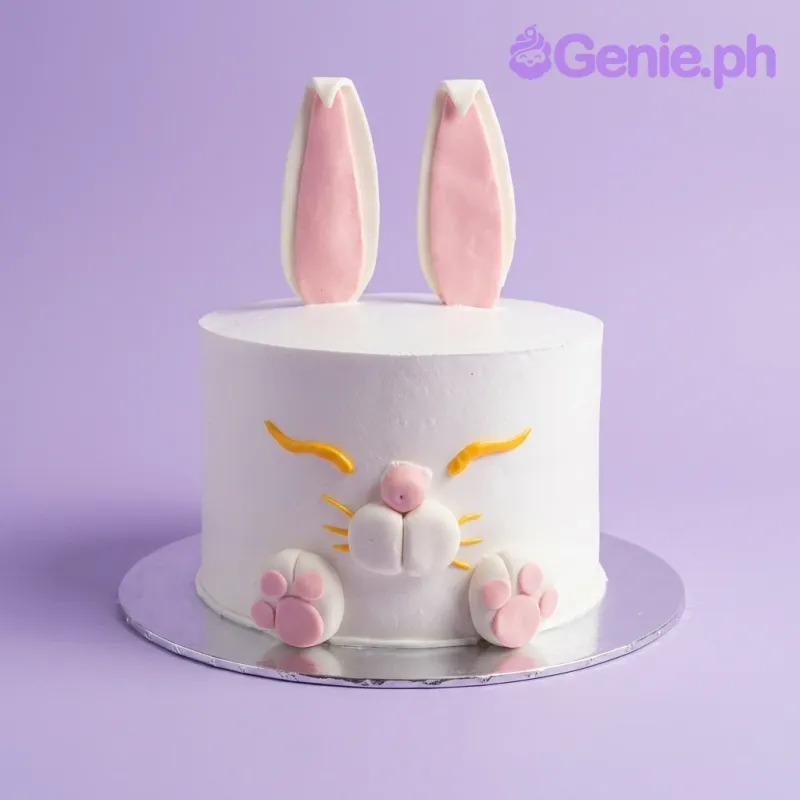 Bunny Character Cake