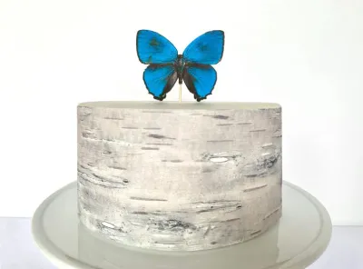 A minimalist single-tier cake with a birch wood texture icing design and a large blue butterfly topper. A minimalist single-tier cake with a birch wood texture icing design and a large blue butterfly topper.