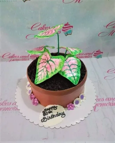 A brown and black 1 Tier Caladium Plant cake, featuring realistic pink and green leaves and small purple and white flowers. A brown and black 1 Tier Caladium Plant cake, featuring realistic pink and green leaves and small purple and white flowers.