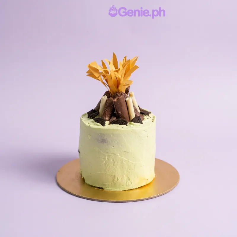 Light green 1-tier cake with a 3D edible campfire topper and chocolate log decorations Light green 1-tier cake with a 3D edible campfire topper and chocolate log decorations