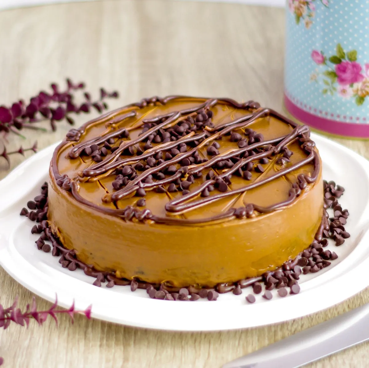 Round chocolate chip caramel cake with dark chocolate drizzle and mini chocolate chips on a white plate. Round chocolate chip caramel cake with dark chocolate drizzle and mini chocolate chips on a white plate.