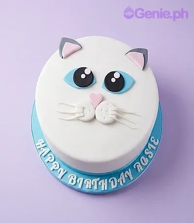 Cat birthday cake design — 1 layer fondant cake in white — with cat ears, cat eyes, cat nose, cat mouth and whiskers, and custom "HAPPY BIRTHDAY ROSIE" message Cat birthday cake design — 1 layer fondant cake in white — with cat ears, cat eyes, cat nose, cat mouth and whiskers, and custom "HAPPY BIRTHDAY ROSIE" message