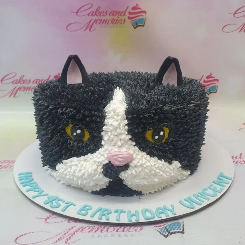 Black and white tuxedo cat face cake with textured icing and blue birthday message on the base board. Black and white tuxedo cat face cake with textured icing and blue birthday message on the base board.