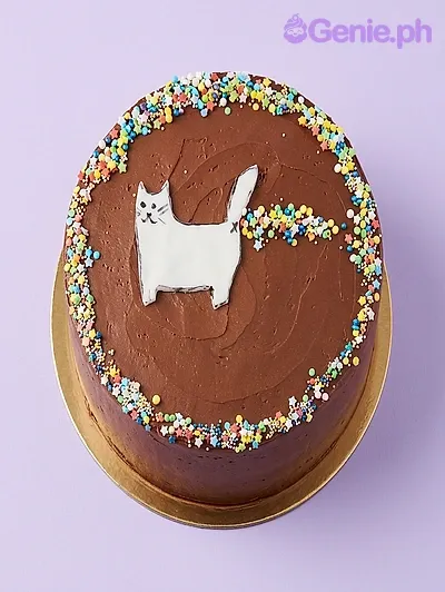 Cat Cake