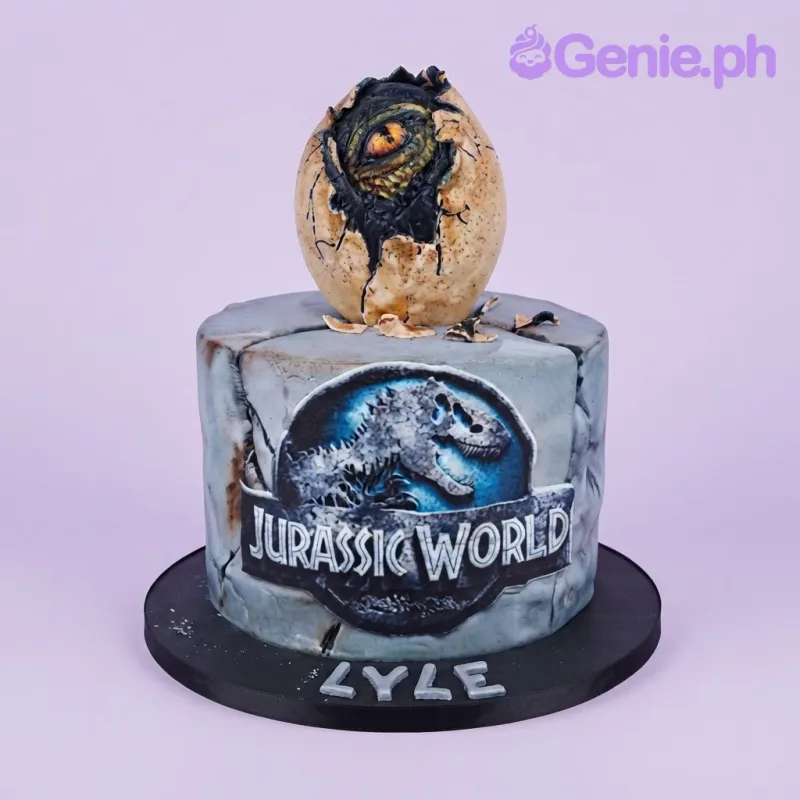 Silver 1 tier fondant cake with smooth icing, Jurassic World theme, and a sculpted dinosaur egg Silver 1 tier fondant cake with smooth icing, Jurassic World theme, and a sculpted dinosaur egg