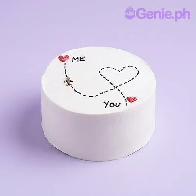 Love Airplane Doodle Cake Design