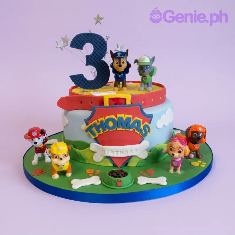 Paw Patrol Cake