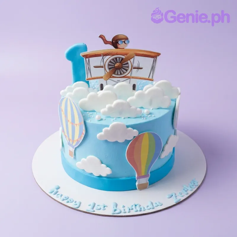 Pilot Birthday One Cake Design