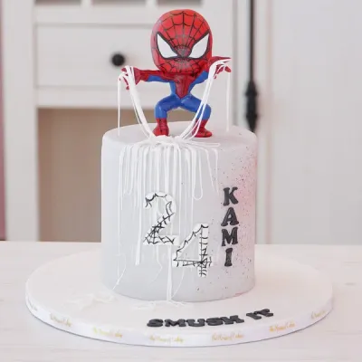 Silver 1-tier fondant Spiderman birthday cake with piped white webs and a molded character topper Silver 1-tier fondant Spiderman birthday cake with piped white webs and a molded character topper