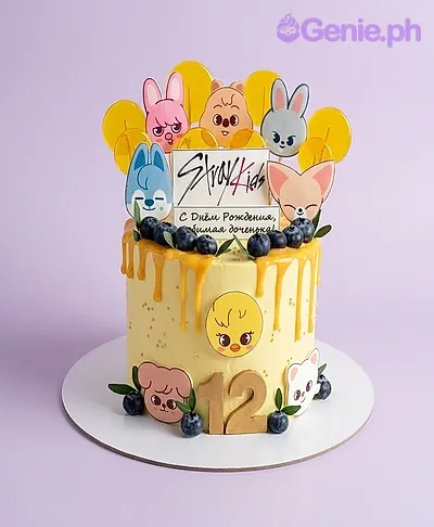 Stray Kids Cake