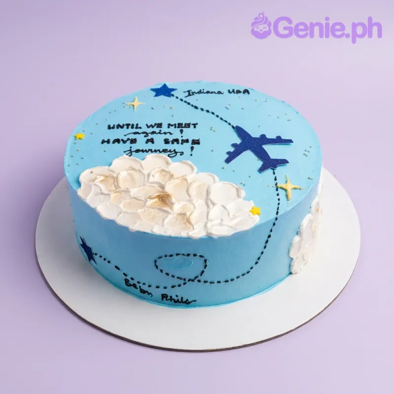 Travel Airplane Cake